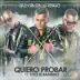 Quiero Probar (feat. Tito El Bambino) - Single album cover