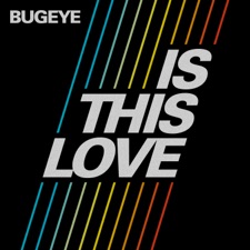 Is This Love? artwork