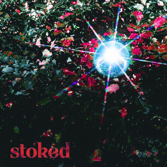 Cover artwork for Stoked
