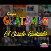 Grupo Guatambó - El Sonido de los Guatambó