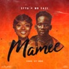 Mamee (feat. Mr Eazi) - Single