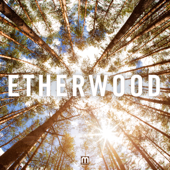 The Time is Here At Last (feat. Hybrid Minds) - Etherwood