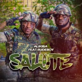 Salute (feat. Rudeboy) artwork