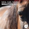 Neja - Smalltown Boy