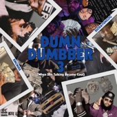 Dum N Dumbber 3 artwork