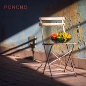 Poncho - Lady Friend