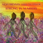 Liam O'Connor - Strong in Numbers