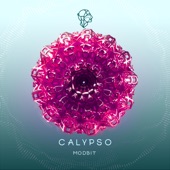 Calypso artwork