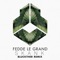 Skank (Bluckther Remix) - Fedde Le Grand & Bluckther lyrics