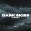 Dark Skies (feat. Mxney Mogly) - Single album lyrics, reviews, download