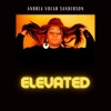 Elevated - EP