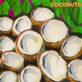 Coconuts artwork