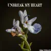 Unbreak My Heart song lyrics