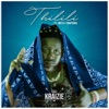 Thilili (feat. Imfezi Emnyama) - Single