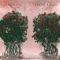Fresh Roses - Juke Ross lyrics