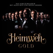 GOLD (Das Jubiläumsalbum mit allen Hits und neuen Liedern) artwork