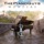 The Piano Guys-Because of You