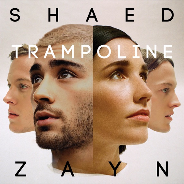 Trampoline - Single - SHAED & ZAYN