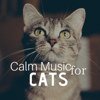 Calm Music for Cats - Kathy Kittin