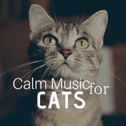 Calm Music for Cats - Kathy Kittin