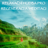 Relaxační Hudba pro Regeneraci a Meditaci - Relaxační Hudební Zóna, Meditační Hudební Zóna & Tichá Hudební Zóna