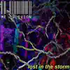 Lost in the Storm - Single album lyrics, reviews, download