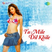 Tu Mile Dil Khile artwork