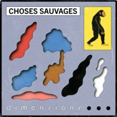 Choses Sauvages - Dimensions