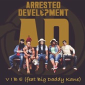 Arrested Development - Vibe (feat. Big Daddy Kane, Cleveland P. Jones, Speech & Tasha LaRae) [Acapella]