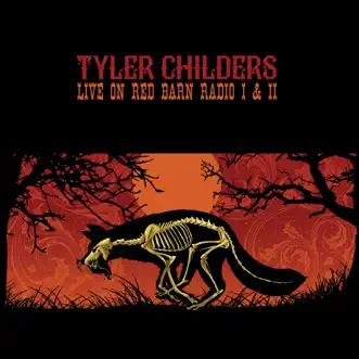 Rock Salt and Nails (Live) by Tyler Childers song reviws