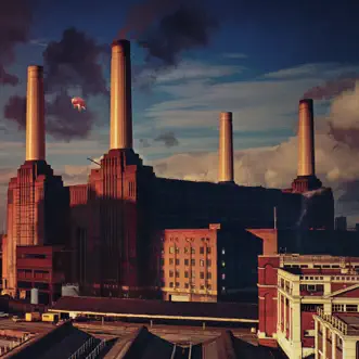 Animals by Pink Floyd album reviews, ratings, credits