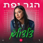 צלצולים artwork