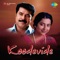 Adiva Katte - S. Janaki lyrics