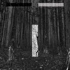 Fault Line (feat. Miles Cooper Seaton & Ralf Hildenbeutel) - Single