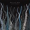 Bliss in Concrete - Pelican lyrics