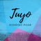 Tuyo (Instrumental) artwork