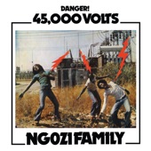 Ngozi Family - I’ll be With You