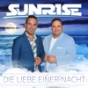 Die Liebe einer Nacht - Single