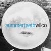 Summerteeth, 1999