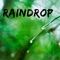 Raindrop - Stone Petoskey lyrics
