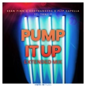 Pump It Up (feat. Tony T.) [Extended Mix] artwork