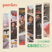Instrumentális (feat. Babindák István) artwork