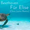 Beethoven Für Elise (Tropical House Remix) [Tropical House Remix] - Single album lyrics, reviews, download