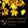 Fariborz Lachini-A Thousand Leaves