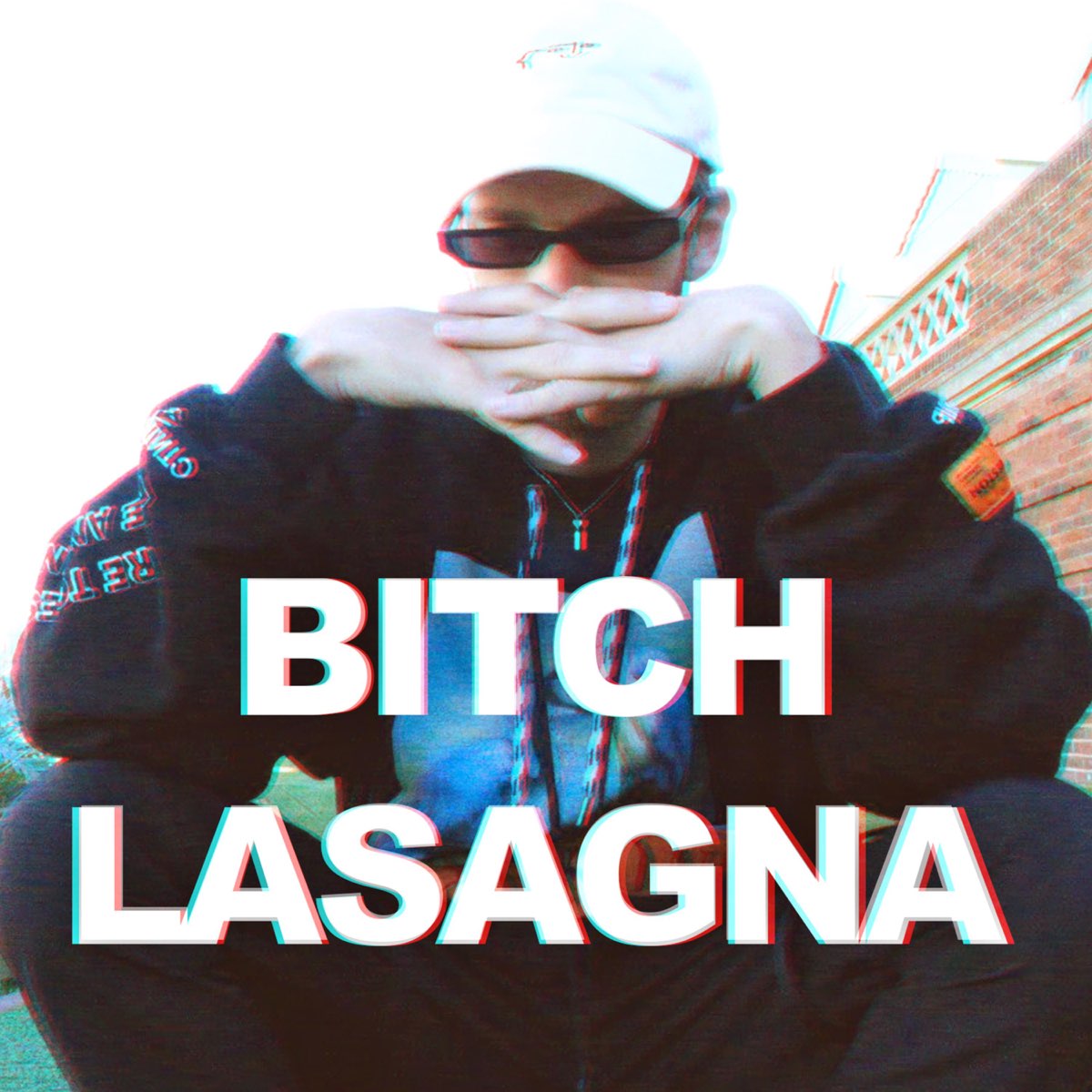 ‎bitch Lasagna Single De Pewdiepie And Party In Backyard En Apple Music