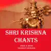 Shri Krishna Chants - Single album lyrics, reviews, download