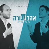 אהבת תורה artwork