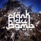 Change of Life - Frank Du Bomb lyrics