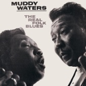Muddy Waters - Just To Be With You
