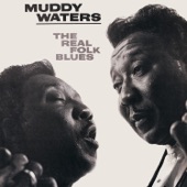 Muddy Waters - Mannish Boy